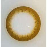 Olens BS 21 Brown Toric
